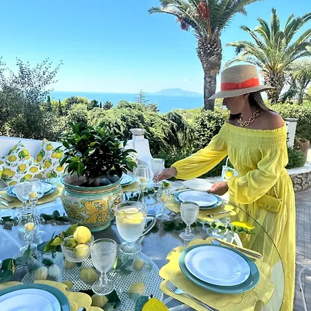 Con Piscina Con 8 Matrimoniali Ad Anacapri, By La Canostra Capri Anacapri (Isola di Capri)